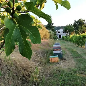 https://naturaliterre-bnb-microfattoria.emilia-romagnahotels.net